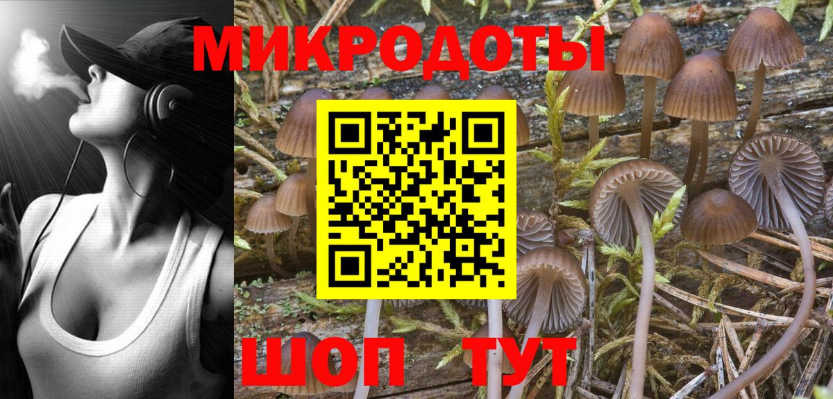 Галлюциногенные грибы Psilocybine cubensis Карасук